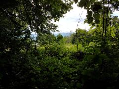 20190707_113743.jpg