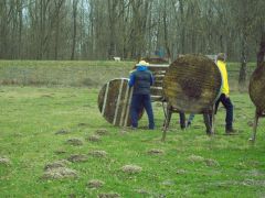 Arbeitsdienst_2016_1_051.jpg