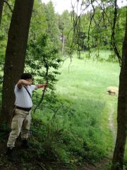 IMG-20170521-WA0016.jpg