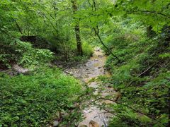 20190707_131831.jpg