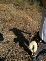 IMG-20170402-WA0003.jpg