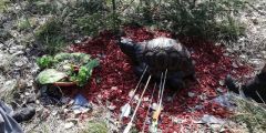 IMG-20190407-WA0008.jpg