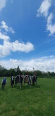 IMG-20230514-WA0049.jpg