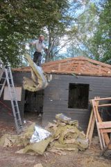 IMG_8489.JPG