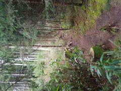 20191003_120929.jpg