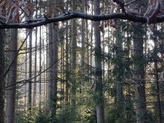 20190407_092412.jpg