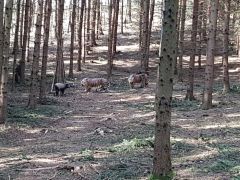 20190407_113714.jpg