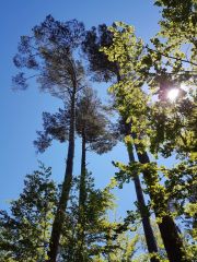 20190601_123532.jpg