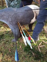 20180408_121058.jpg