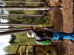 20191003_132437.jpg