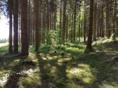 20190601_104653.jpg