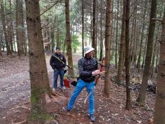 20191003_111404.jpg