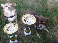 Bilder Handy 13.08.15 171.jpg